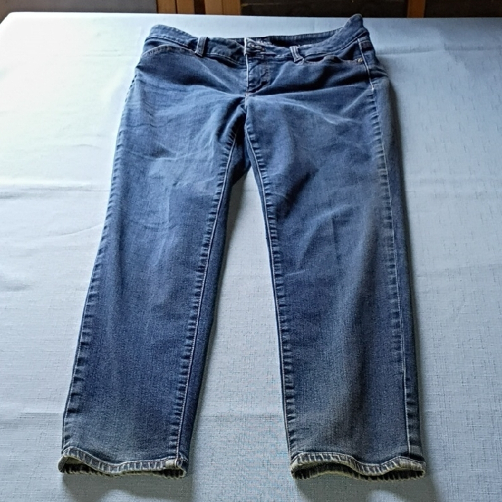 Talbots Dark Blue Denim Jeans